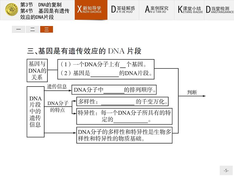 高中生物人教版必修2课件：3.3-4 DNA的复制-基因是有遗传效应的DNA片段05