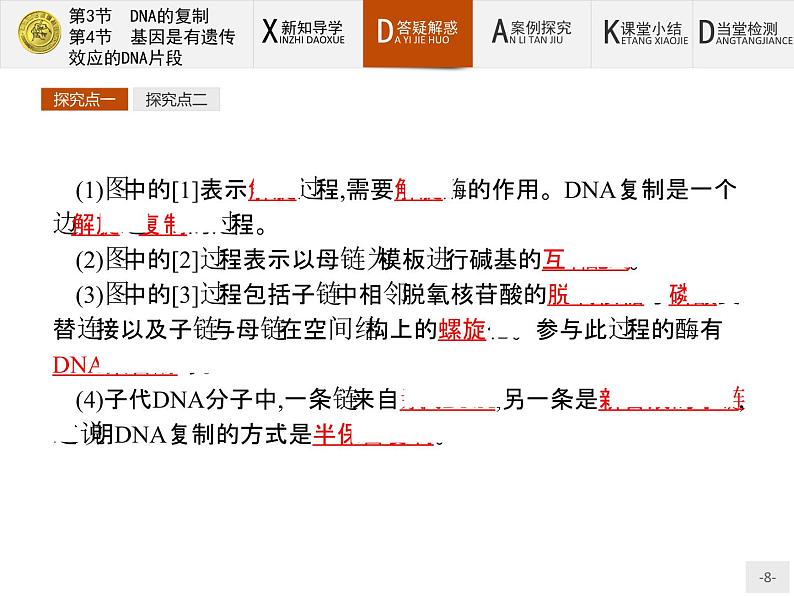 高中生物人教版必修2课件：3.3-4 DNA的复制-基因是有遗传效应的DNA片段08