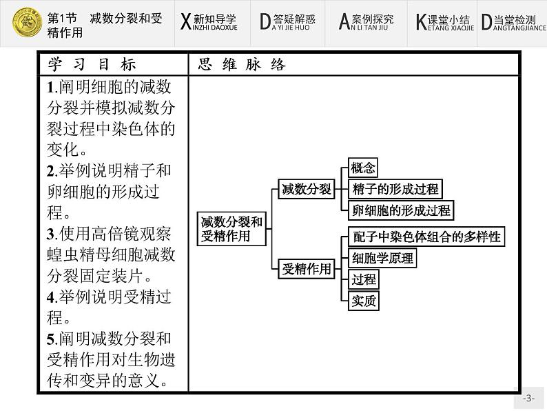 高中生物人教版必修2课件：2.1 减数分裂和受精作用03