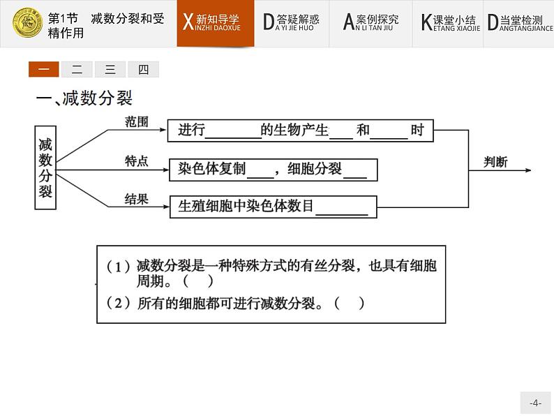 高中生物人教版必修2课件：2.1 减数分裂和受精作用04