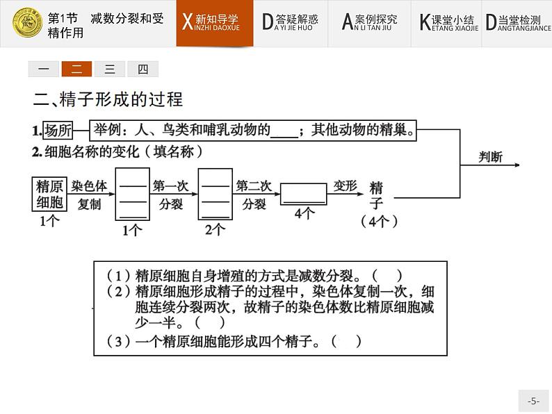 高中生物人教版必修2课件：2.1 减数分裂和受精作用05