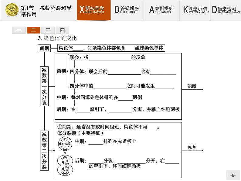 高中生物人教版必修2课件：2.1 减数分裂和受精作用06