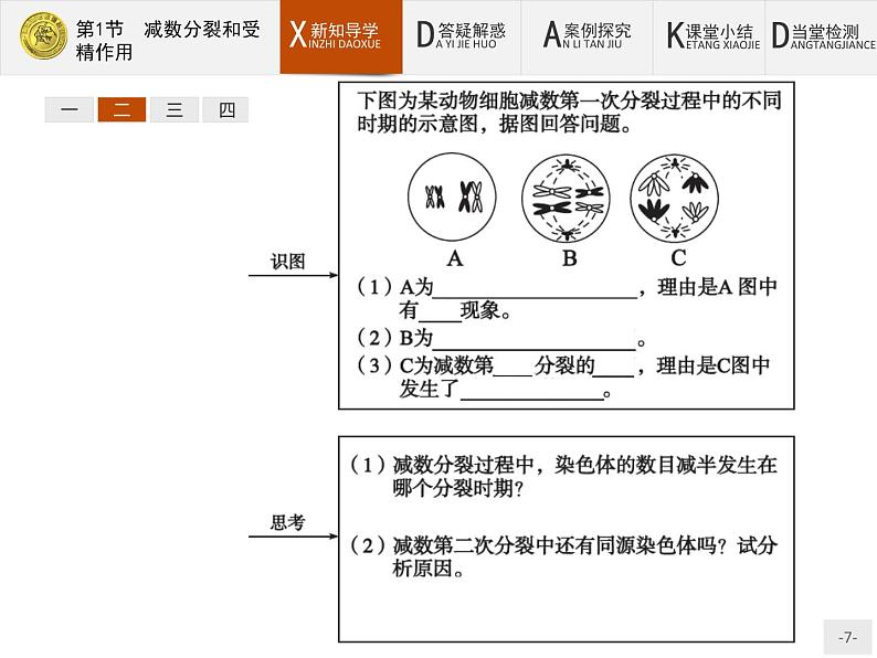 高中生物人教版必修2课件：2.1 减数分裂和受精作用07