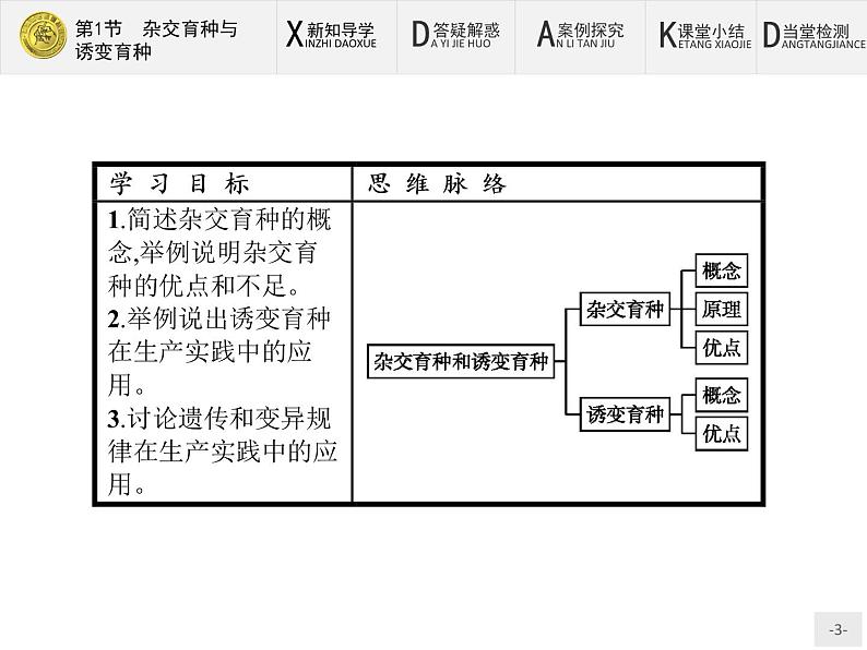 高中生物人教版必修2课件：6.1 杂交育种与诱变育种03