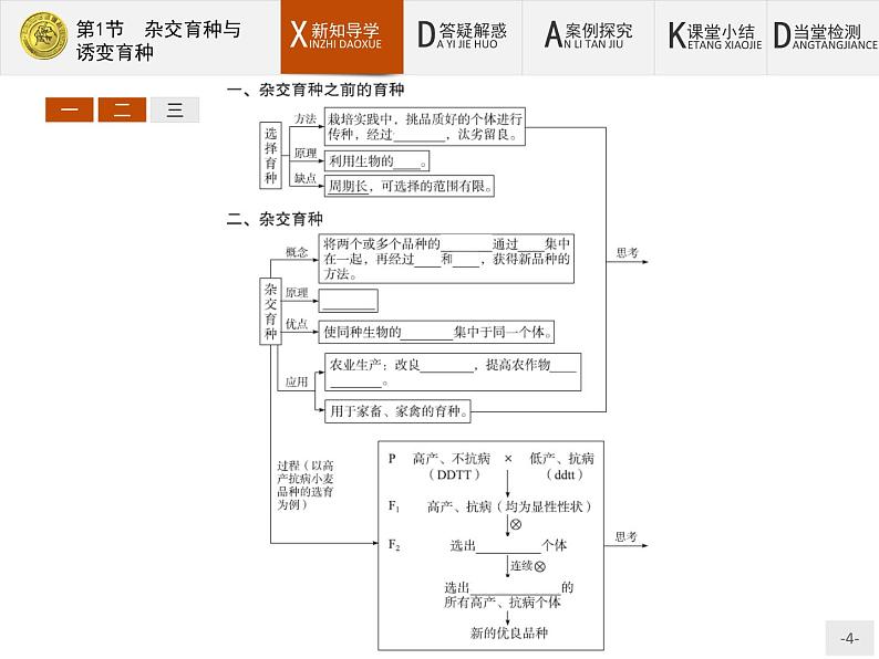 高中生物人教版必修2课件：6.1 杂交育种与诱变育种04