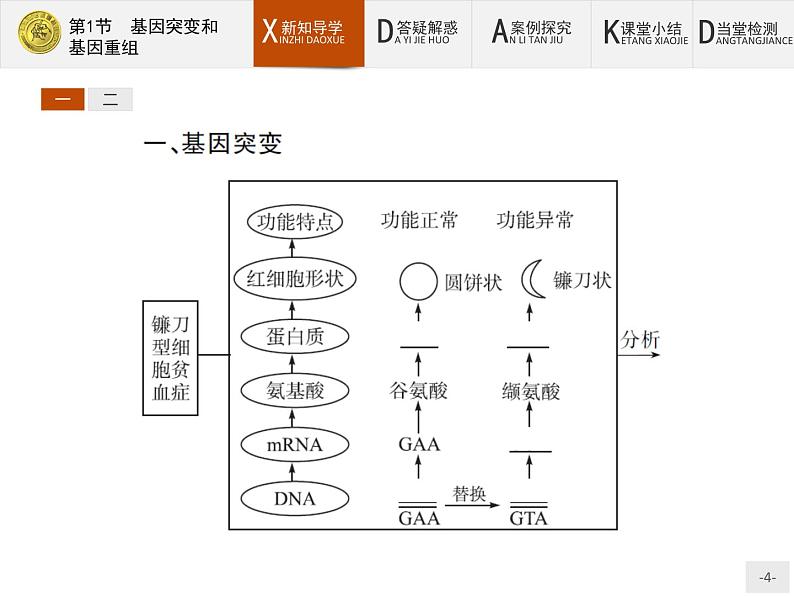 高中生物人教版必修2课件：5.1 基因突变和基因重组04