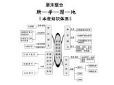 高效课堂同步课件：2章末整合《动物和人体生命活动的调节》（必修3）