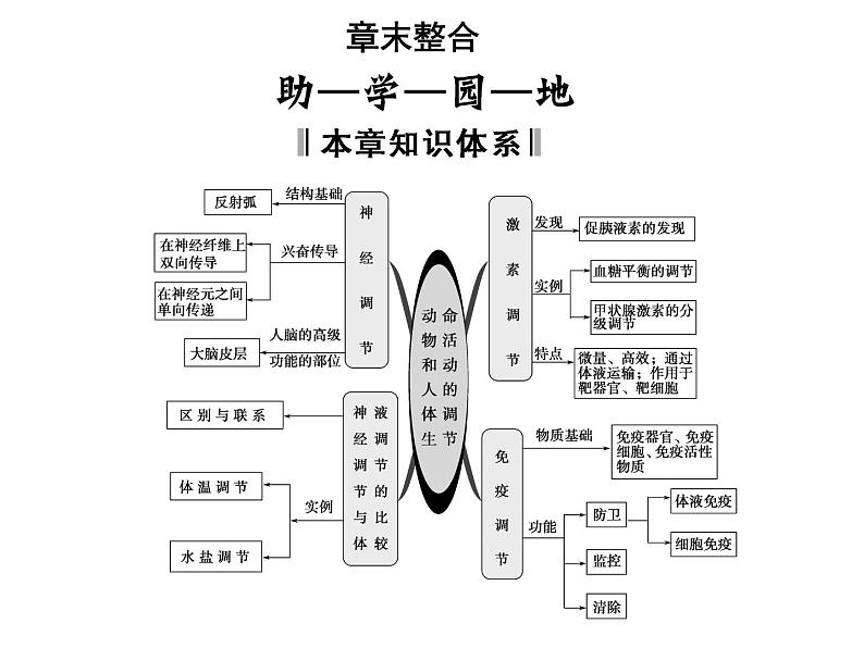 高效课堂同步课件：2章末整合《动物和人体生命活动的调节》（必修3）01