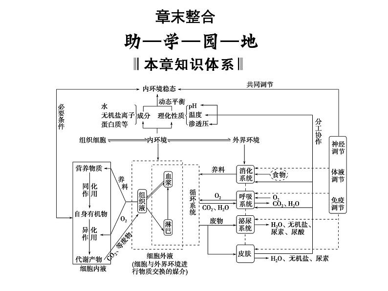 高效课堂同步课件：1章末整合《人体的内环境与稳态》（必修3）01