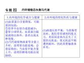 高效课堂同步课件：1章末整合《人体的内环境与稳态》（必修3）