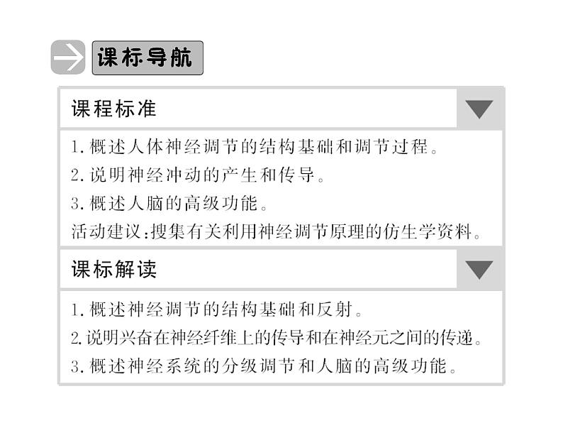 高效课堂同步课件：2-1通过神经系统的调节（必修3）02