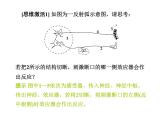 高效课堂同步课件：2-1通过神经系统的调节（必修3）