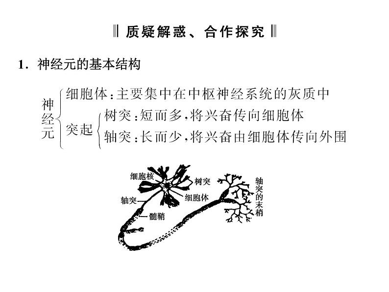 高效课堂同步课件：2-1通过神经系统的调节（必修3）06