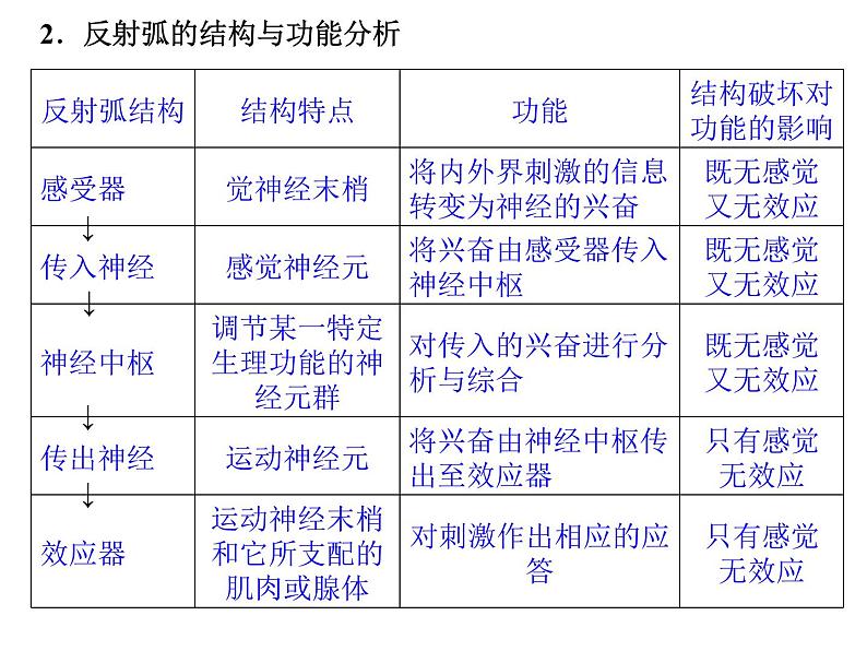 高效课堂同步课件：2-1通过神经系统的调节（必修3）07