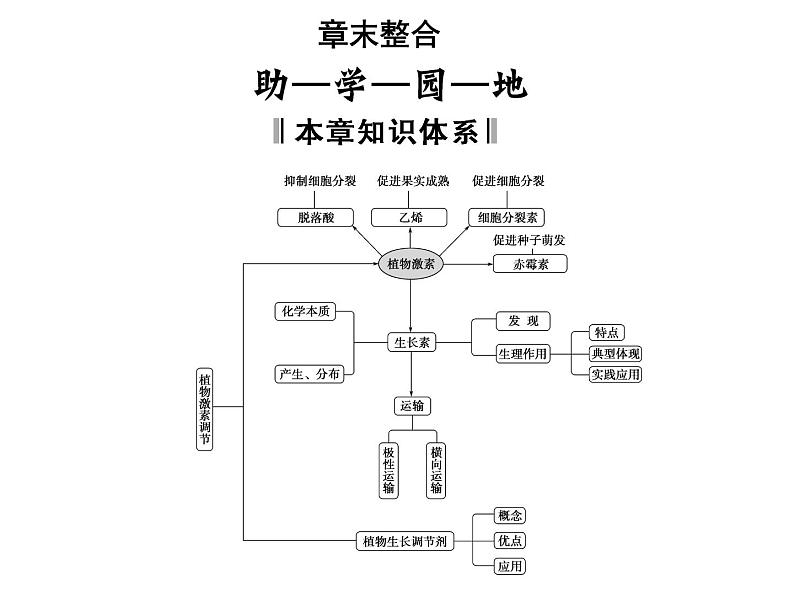 高效课堂同步课件：3《植物的激素调节》章末整合（必修3）01