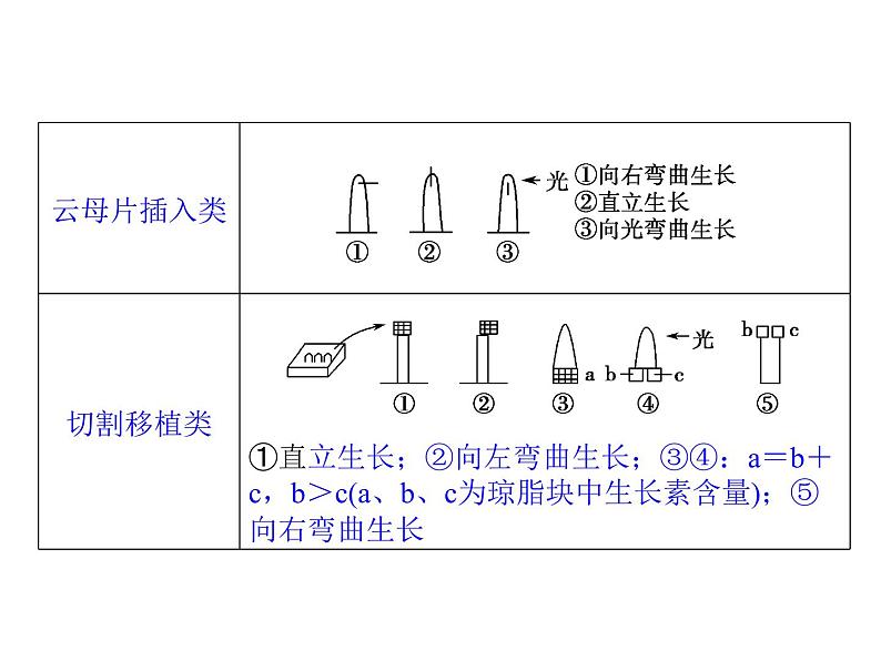 高效课堂同步课件：3《植物的激素调节》章末整合（必修3）03