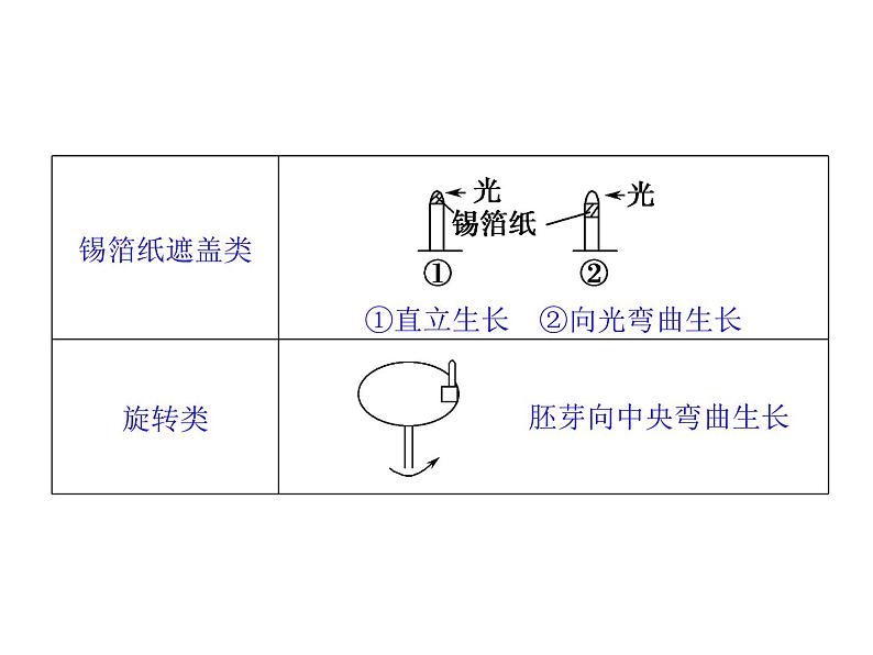 高效课堂同步课件：3《植物的激素调节》章末整合（必修3）04