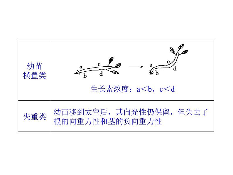 高效课堂同步课件：3《植物的激素调节》章末整合（必修3）05