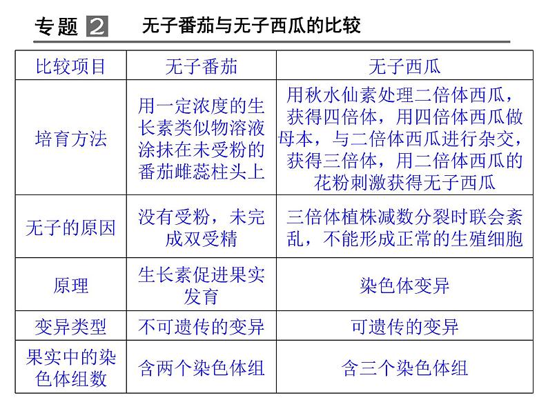 高效课堂同步课件：3《植物的激素调节》章末整合（必修3）06