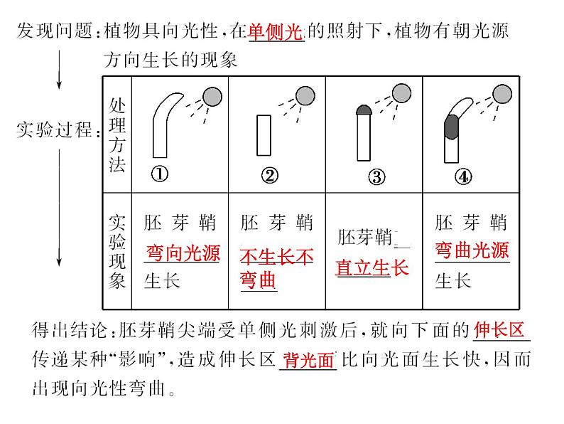 高效课堂同步课件：3-1植物生长素的发现（必修3）04