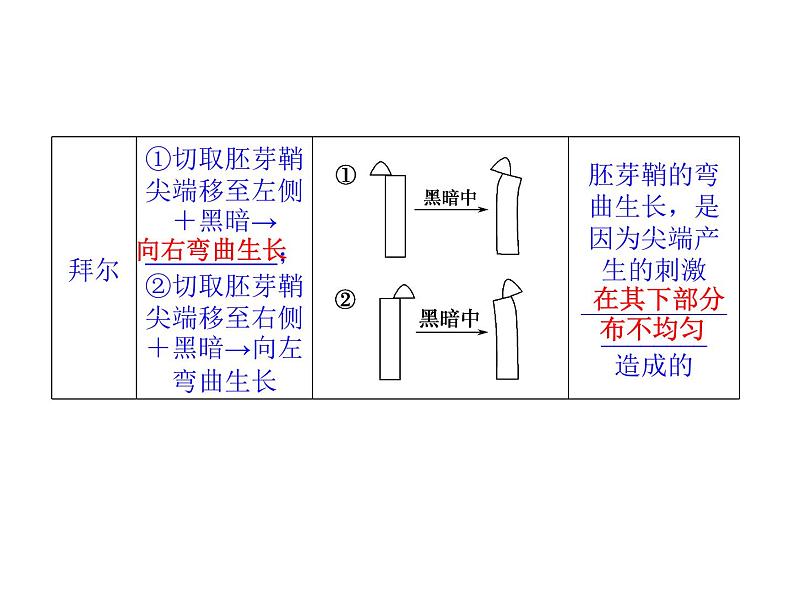 高效课堂同步课件：3-1植物生长素的发现（必修3）06