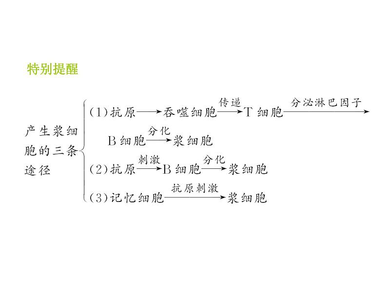 高效课堂同步课件：2-4免疫调节（必修3）08