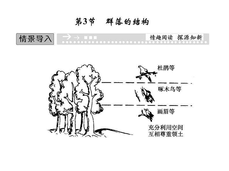 高效课堂同步课件：4-3群落的结构（必修3）01