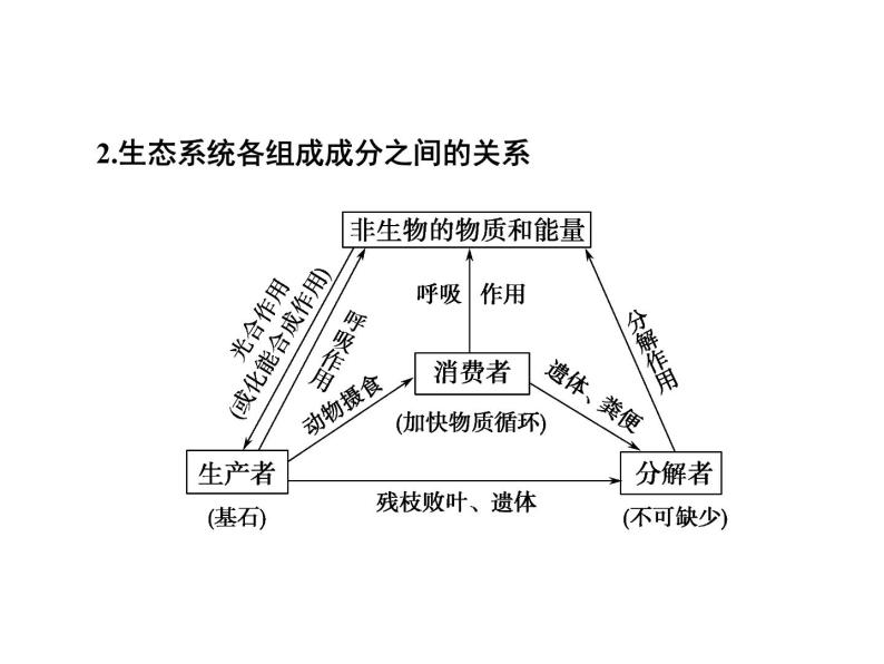 高效课堂同步课件：5-1生态系统的结构（必修3）08