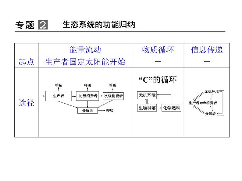 高效课堂同步课件：5章末整合《生态系统及其稳定性》（必修3）05