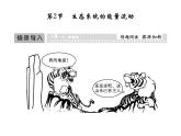 高效课堂同步课件：5-2生态系统的能量流动（必修3）
