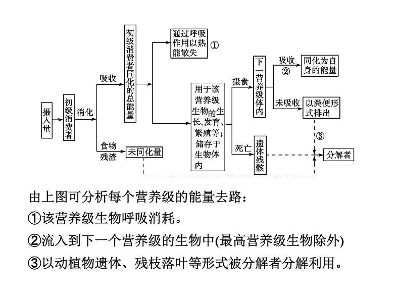 高效课堂同步课件：5-2生态系统的能量流动（必修3）07