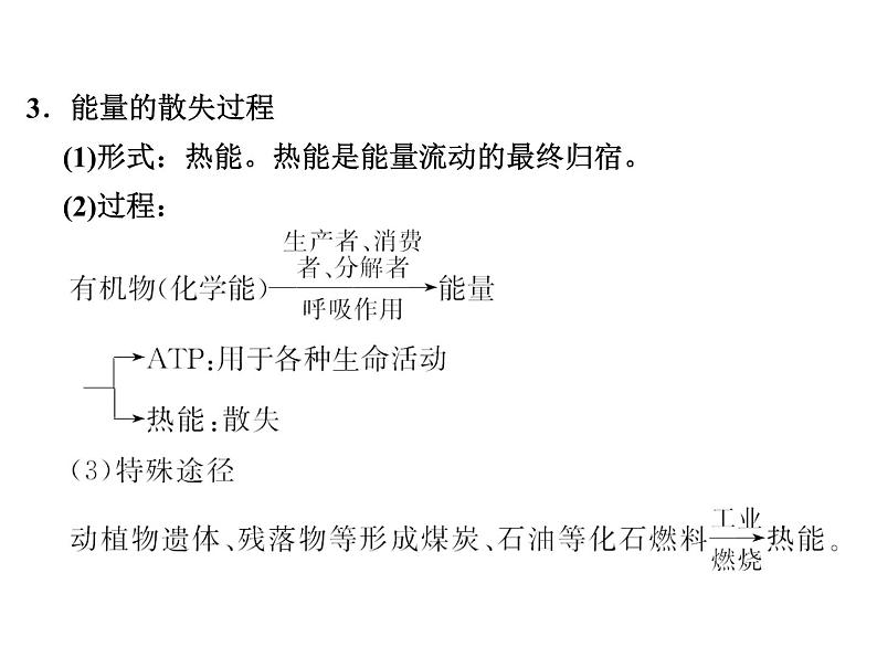 高效课堂同步课件：5-2生态系统的能量流动（必修3）08