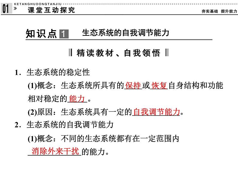 高效课堂同步课件：5-5生态系统的稳定性（必修3）第3页