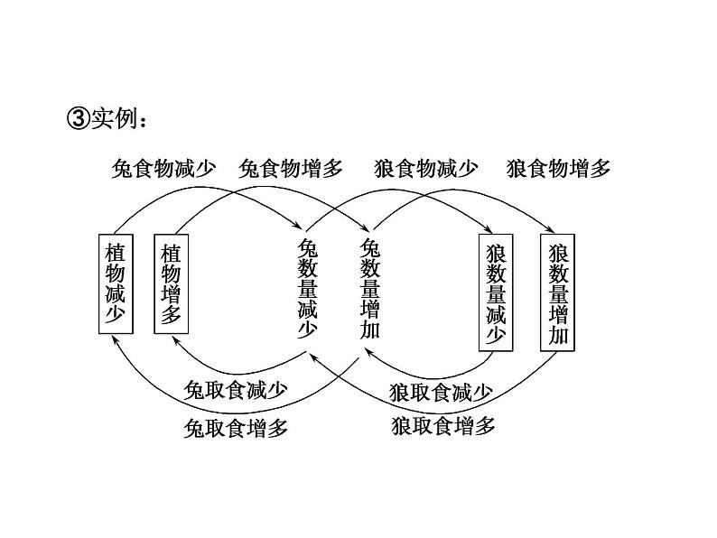 高效课堂同步课件：5-5生态系统的稳定性（必修3）第7页