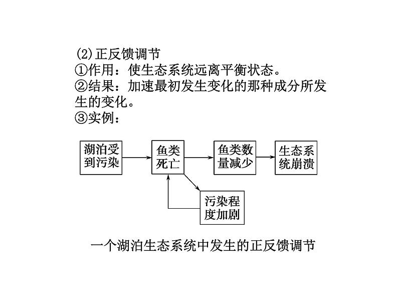 高效课堂同步课件：5-5生态系统的稳定性（必修3）第8页