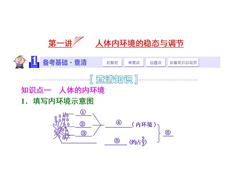 第1讲  人体内环境的稳态与调节 课件01