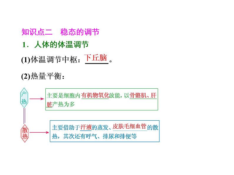 第1讲  人体内环境的稳态与调节 课件04