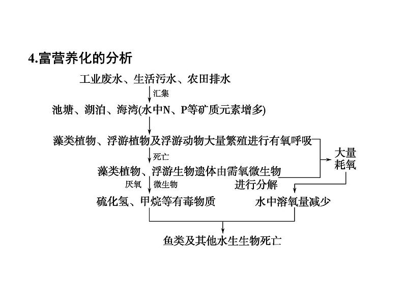 高效课堂同步课件：6-2保护我们共同的家园（必修3）第8页