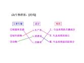 第1讲  生态系统的结构和能量流动 课件