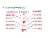 第1讲  生态系统的结构和能量流动 课件