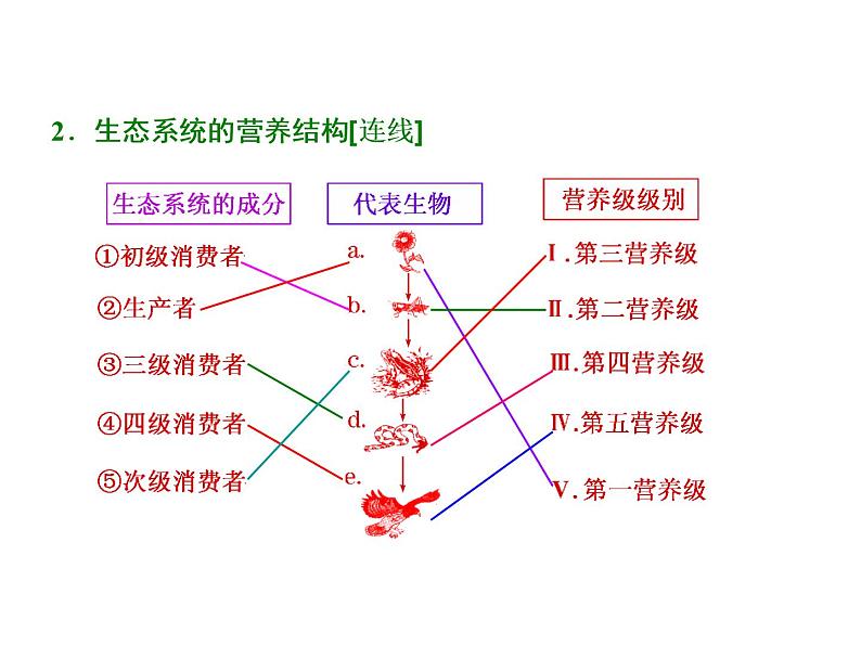 第1讲  生态系统的结构和能量流动 课件03