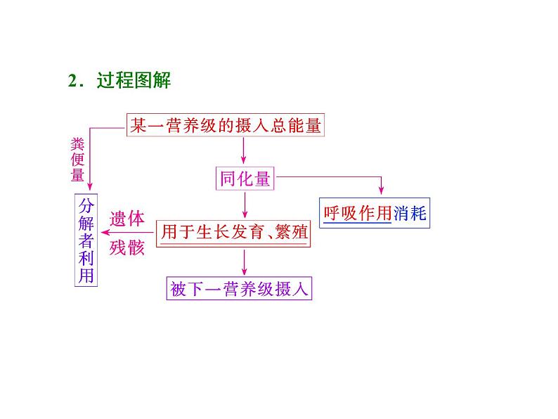 第1讲  生态系统的结构和能量流动 课件05