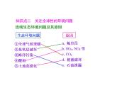 第3讲  生态环境的保护 课件