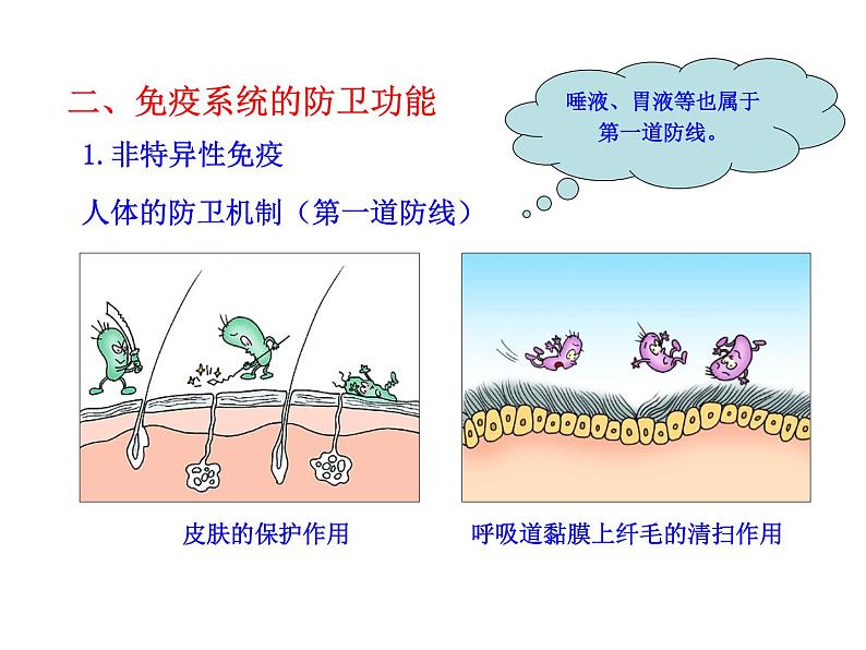 高中生物PPT授课课件（人教版必修3）2.4免疫调节06