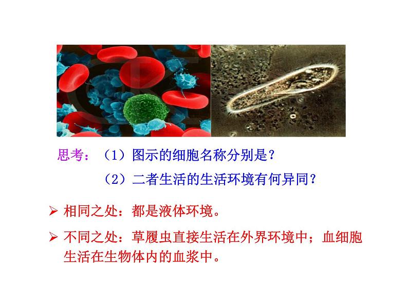 高中生物PPT授课课件（人教版必修3）1.1细胞生活的环境05