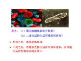 高中生物PPT授课课件（人教版必修3）1.1细胞生活的环境
