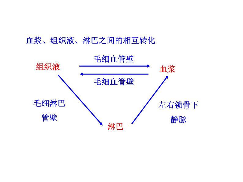 高中生物PPT授课课件（人教版必修3）1.1细胞生活的环境08