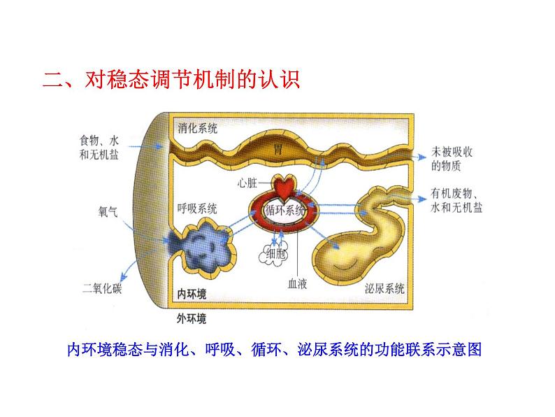 高中生物PPT授课课件（人教版必修3）1.2内环境稳态的重要性07