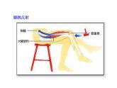 高中生物PPT授课课件（人教版必修3）2.1通过神经系统的调节