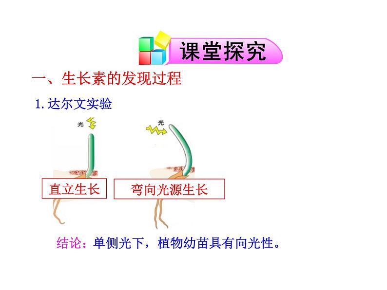 高中生物PPT授课课件（人教版必修3）3.1植物生长素的发现第4页